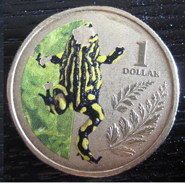 Noodling-Find-Of-The-Week?